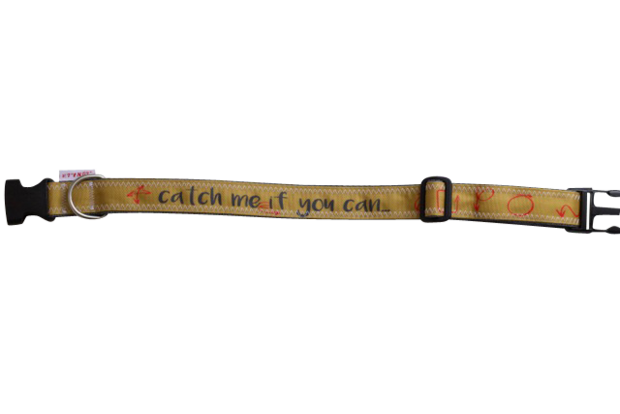 Halsband "Catch me if you can"